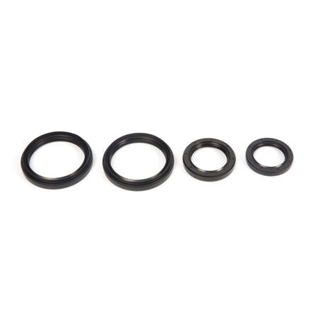 All Balls Differential Seal Kit (207328)