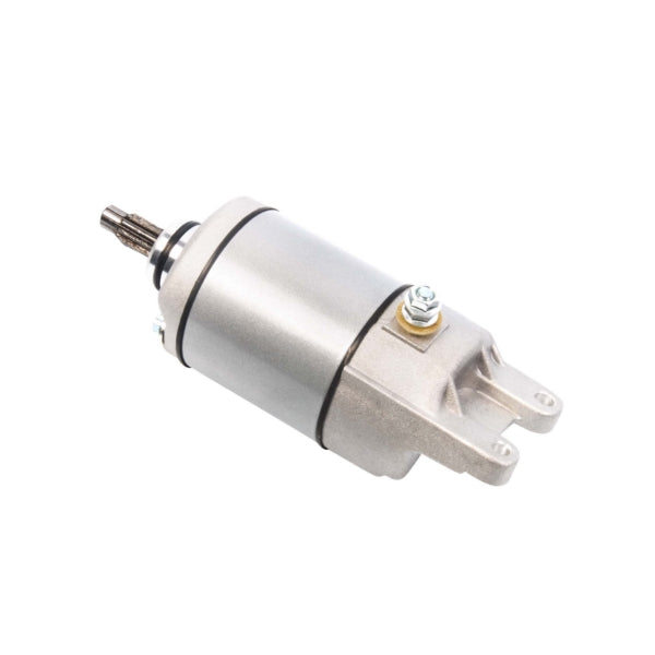 Arrowhead Starter (207424)