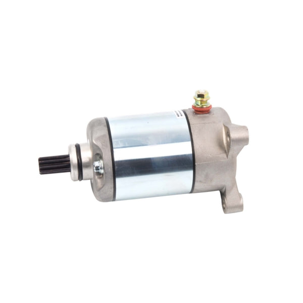 Arrowhead Starter (207436)