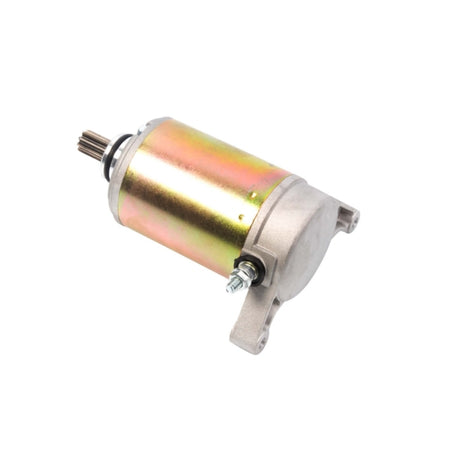 Arrowhead Starter (207439)