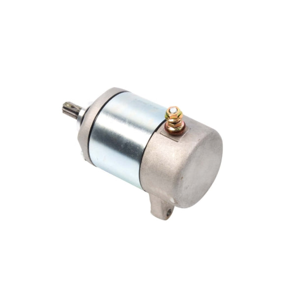 Arrowhead Starter (207444)
