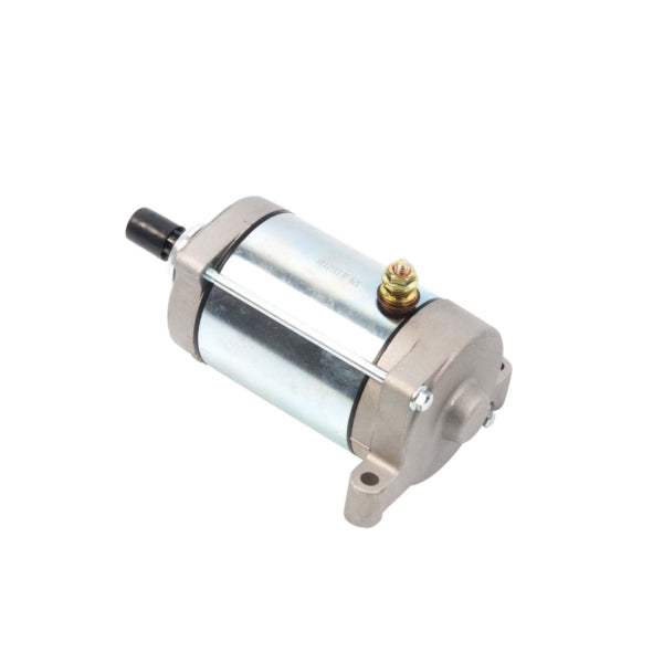 Arrowhead Starter (207446)