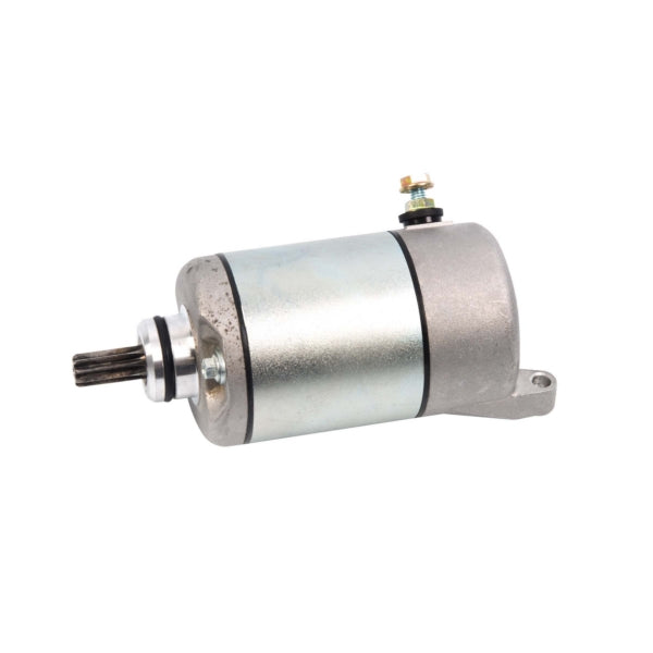 Arrowhead Starter (207448)