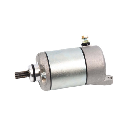 Arrowhead Starter (207448)
