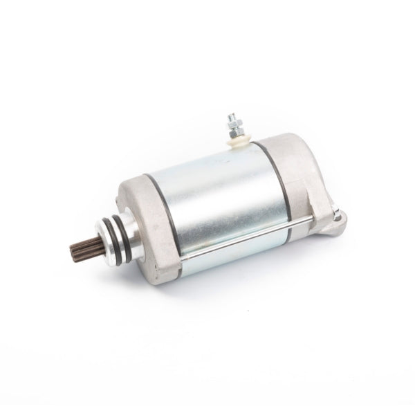 Arrowhead Starter (207449)