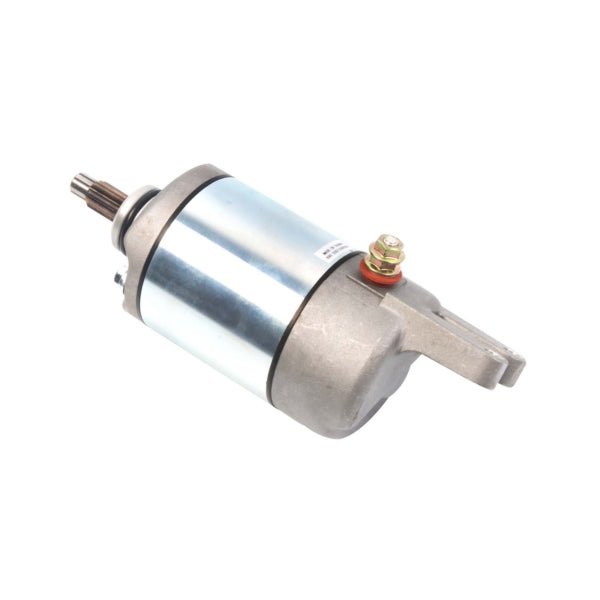 Arrowhead Starter (207456)