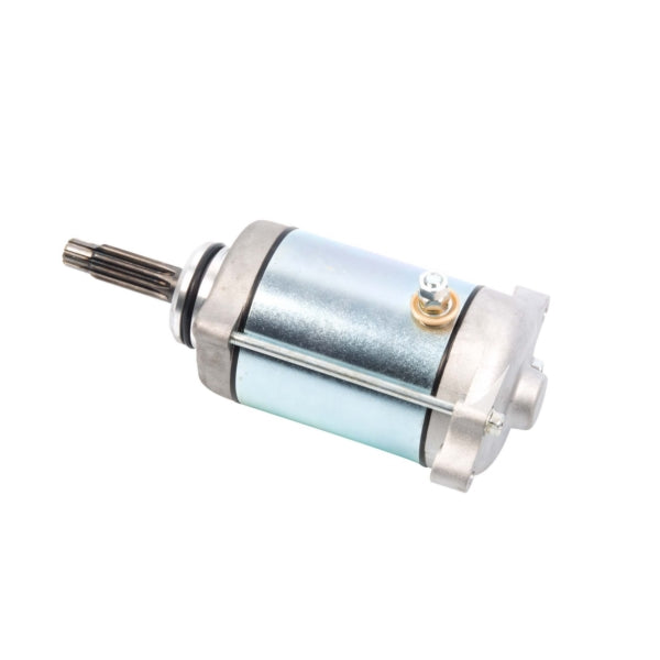 Arrowhead Starter (207461)