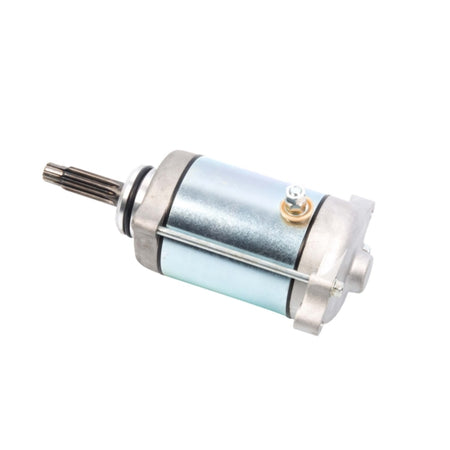 Arrowhead Starter (207461)