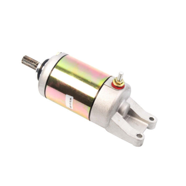 Arrowhead Starter (207462)