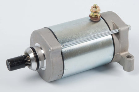 Arrowhead Starter (207465)