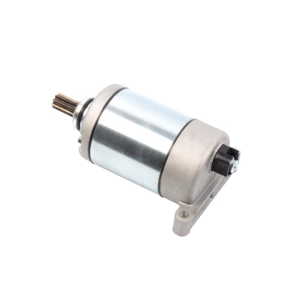 Arrowhead Starter (207466)