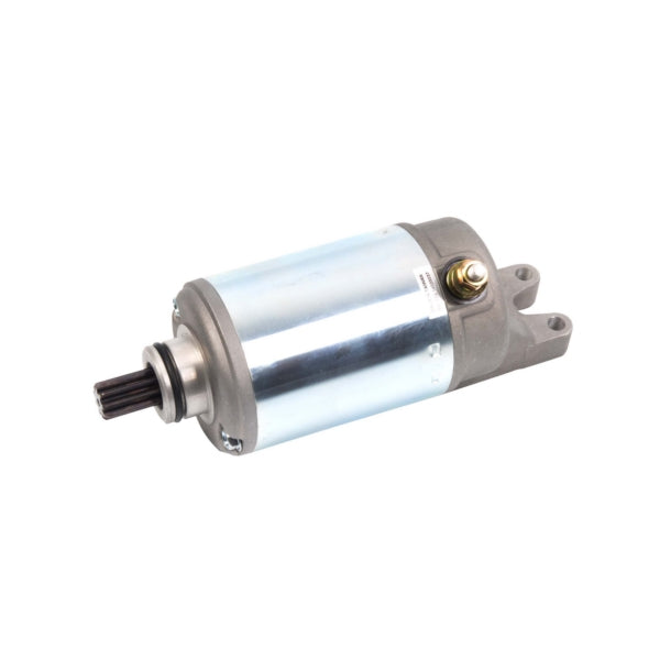 Arrowhead Starter (207474)