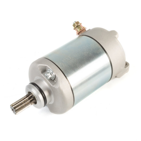 Arrowhead Starter (208048)