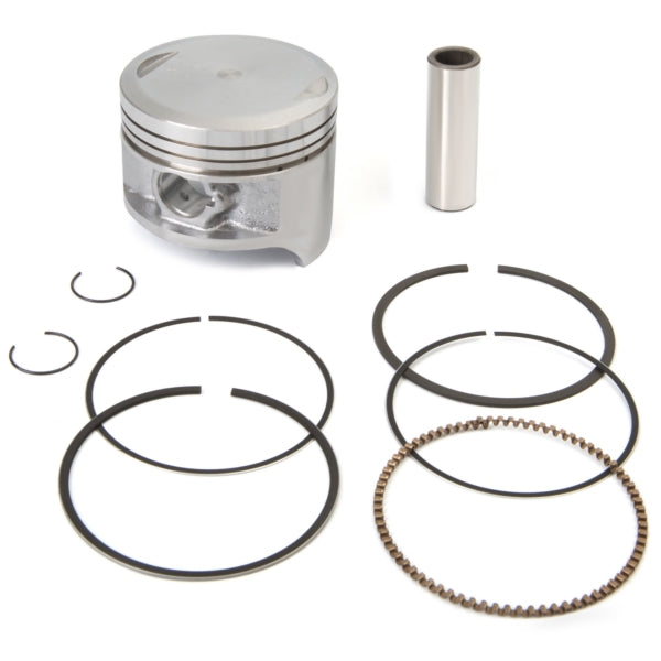 Shindy Piston Kit (208273)