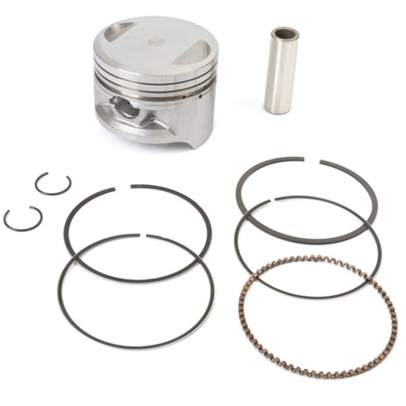 Shindy Piston Kit (208342)