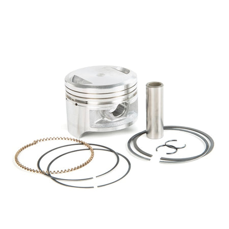 Shindy Piston Kit (208354)
