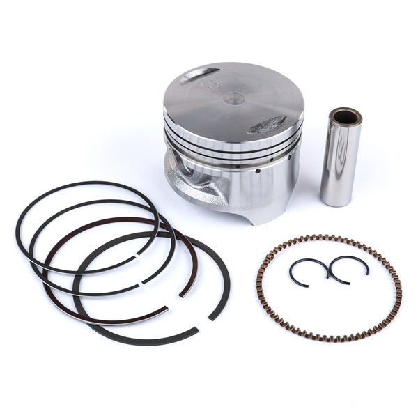 Shindy Piston Kit (208384)