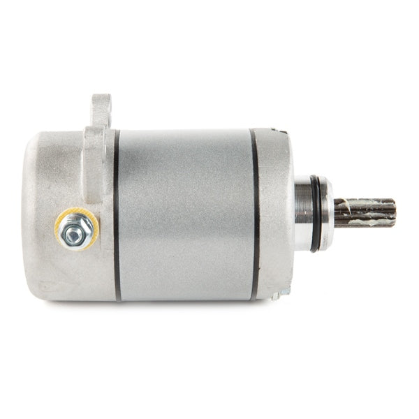 Arrowhead Starter (209406)