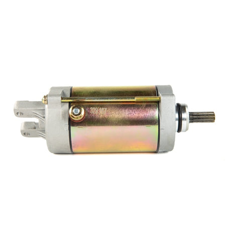 Arrowhead Starter (209422)
