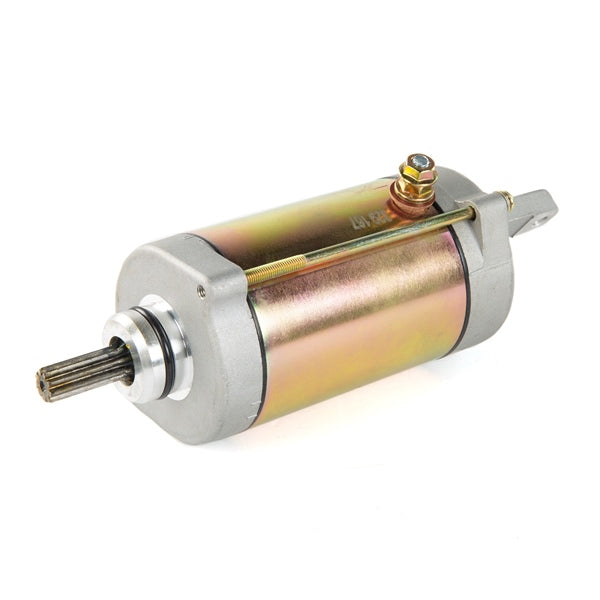 Arrowhead Starter (209422)