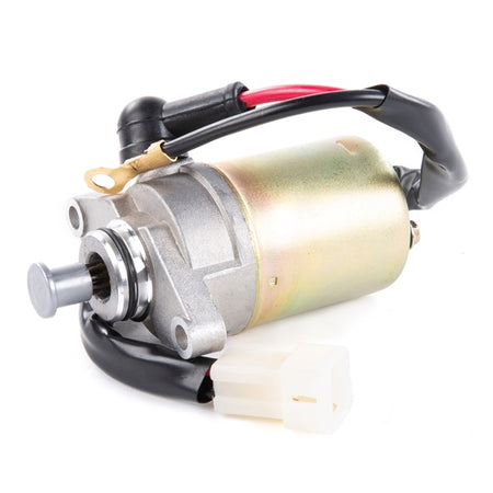 Arrowhead Starter (209423)