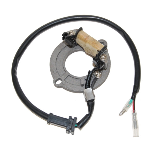 ElectroSport Stator (215071)