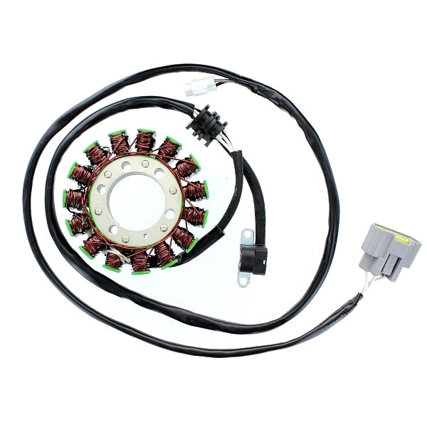 ElectroSport Stator (215973)