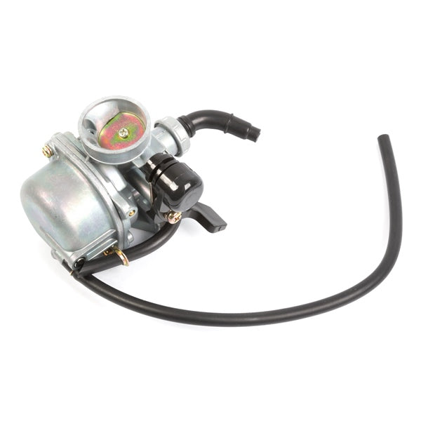 Outside Distributing Carburateur assemblé pour moteur 4 temps de 19 mm (217017)