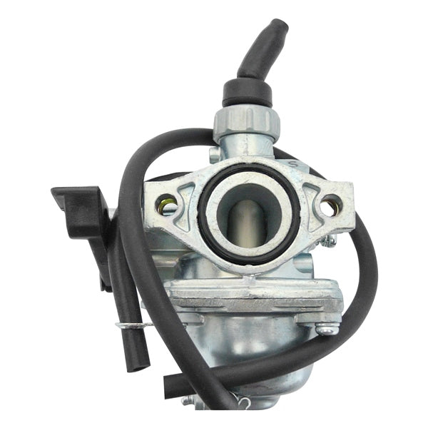 Outside Distributing Carburateur assemblé pour moteur 4 temps de 19 mm (217017)