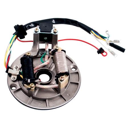 Outside Distributing Stator/Magneto (217110)