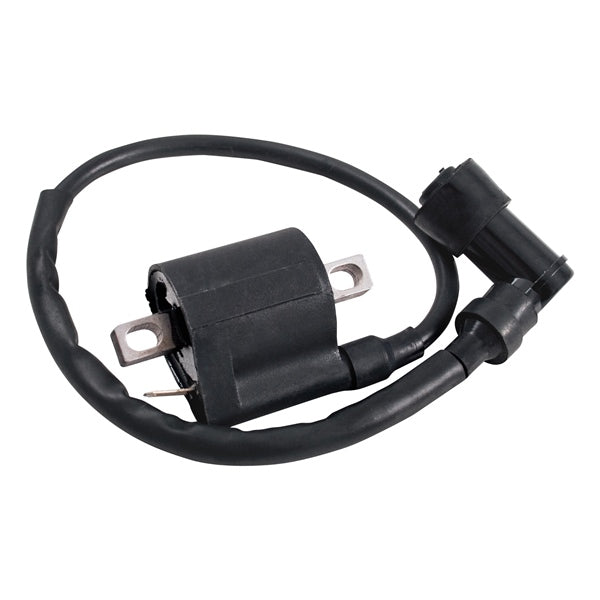 Outside Distributing External Ignition Coil (217121)