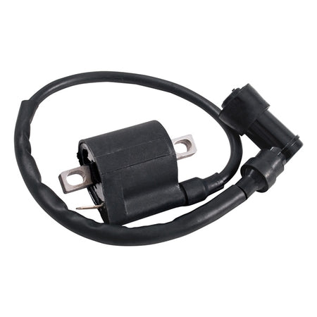 Outside Distributing External Ignition Coil (217121)