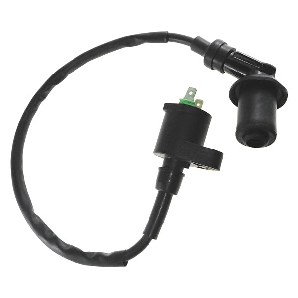 Outside Distributing External Ignition Coil (217122)