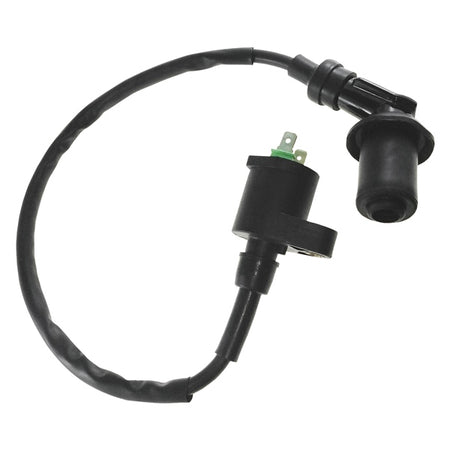 Outside Distributing External Ignition Coil (217122)