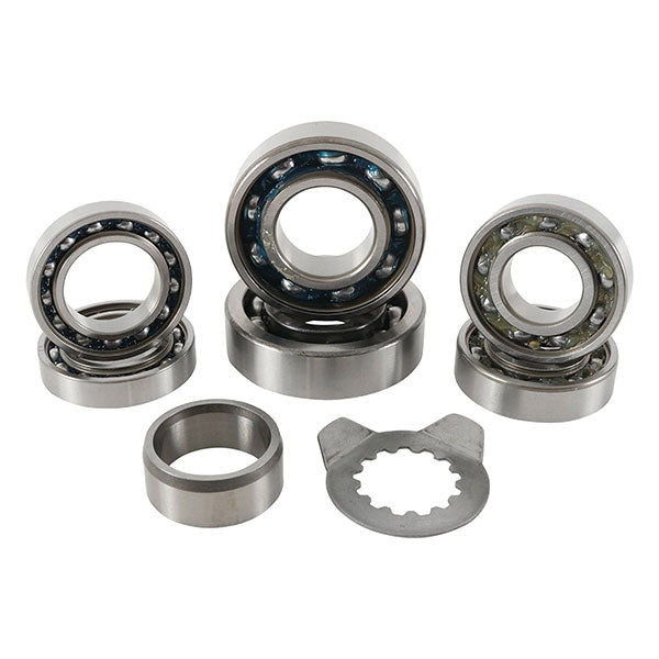 Kit de roulements de transmission Hot Rods (TBK0065)