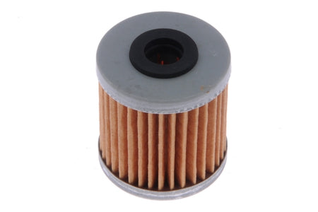 Kimpex Oil Filter (220262)