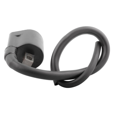 Kimpex Ignition Coil (223830)