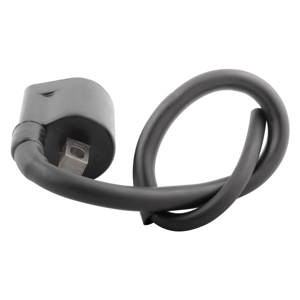 Kimpex Ignition Coil (223830)