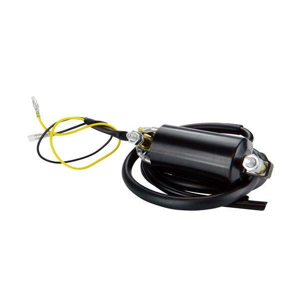 Kimpex HD Bobine d'allumage externe 6 volts (225673)