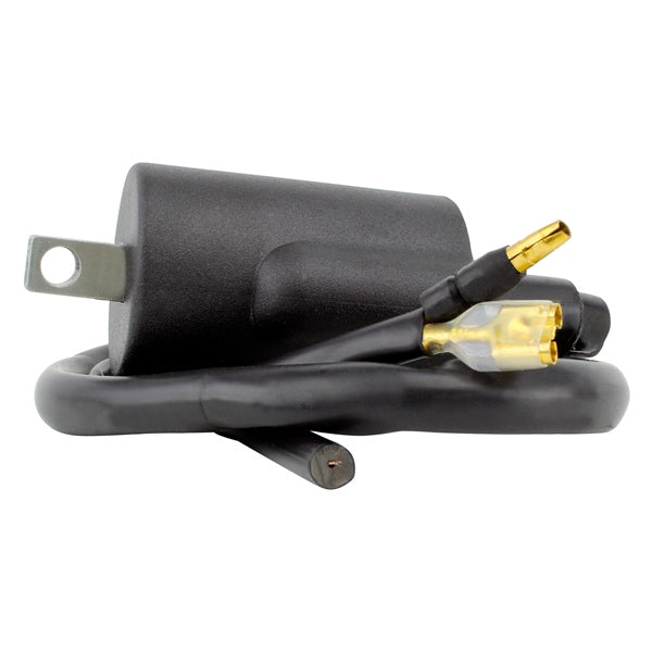 Kimpex HD Bobine d'allumage (225738)