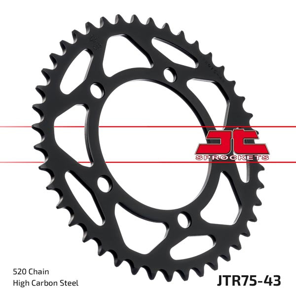 Pignon arrière JT 75 (JTR75.43)