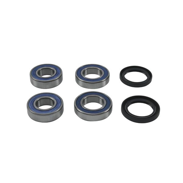 ALL BALLS WHEEL BEARING KIT (25-1818)