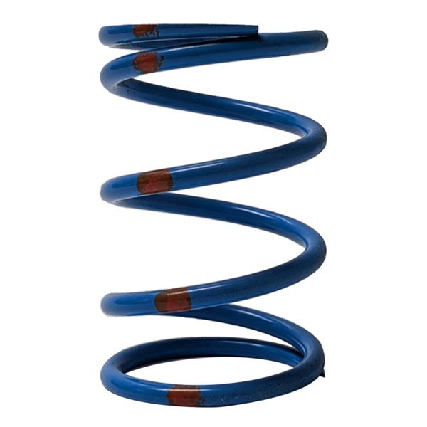 Venom Primary Clutch Spring (210220-005)