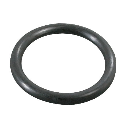 Kimpex Medium O-Ring (275630)