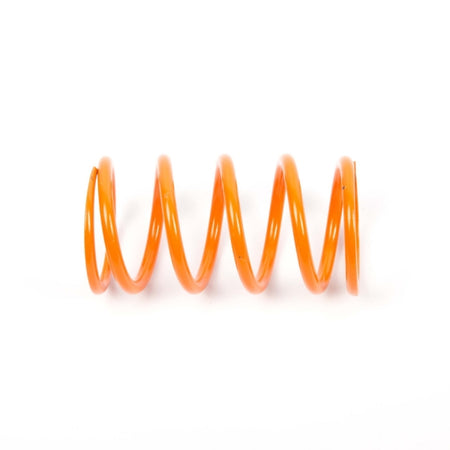EPI Primary Clutch Spring (Drive) (279032)