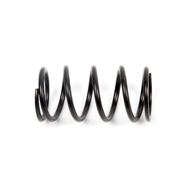 EPI Primary Clutch Spring (Drive) (279034)