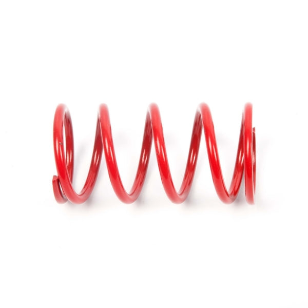 EPI Primary Clutch Spring (Drive) (279062)