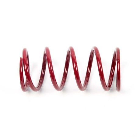EPI Primary Clutch Spring (Drive) (279039)