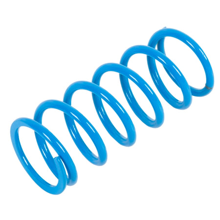 EPI Primary Clutch Spring (Drive) (279064)