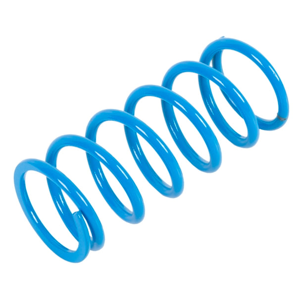 EPI Primary Clutch Spring (Drive) (279064)